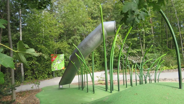 Bild  3 