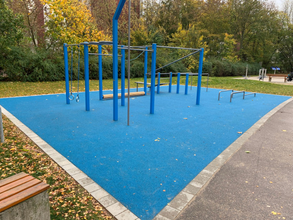 Fritz Muller Calisthenics 4456