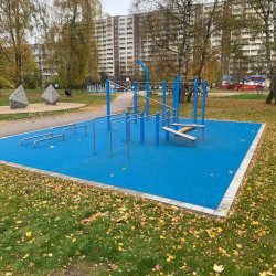 Fritz Muller Calisthenics 4457