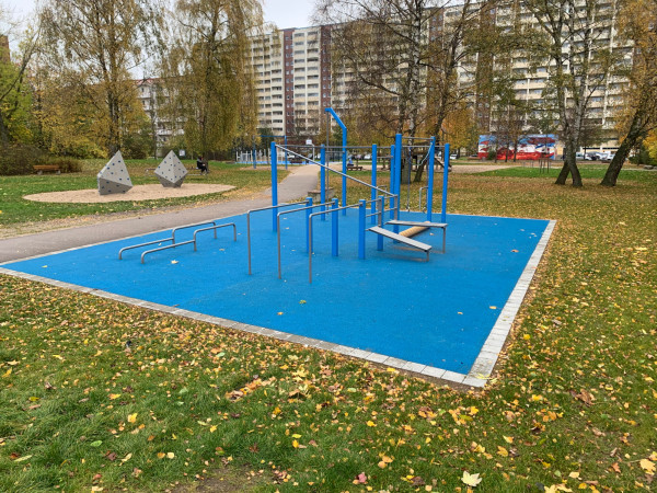 Fritz Muller Calisthenics 4457