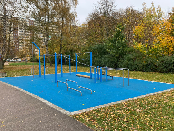 Fritz Muller Calisthenics459