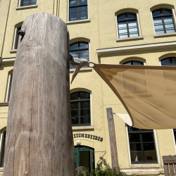 Planex Sonnensegel in Grundschule 4613