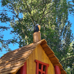 Spielart Details 4681