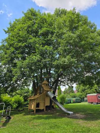 Spielart grosses Baumhaus Rutsche Individuell Spielplatz024